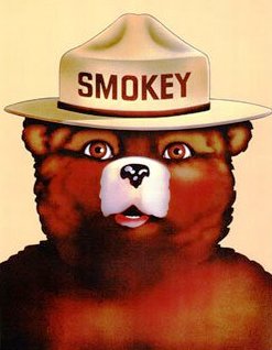 smokey-the-bear.jpeg